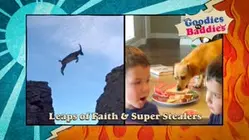 Goodies VS. Baddies | Leaps of Faith & Super Stealers
