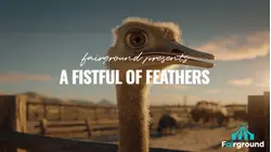 A Fistful of Feathers