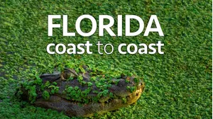 Florida Coast To Coast