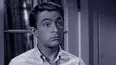 My Favorite Martian