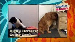 Goodies VS. Baddies | High-5 Heroes & Guilty Goofs