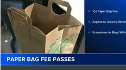 Paper bag fee passes Philly City Council | Here's what happens next
