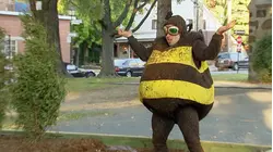 Just for Laughs GAGS - S13 E12 - A Bee's Life