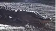 On Patrol: Live