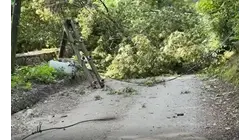 Bedford hit with downed wires as storms sweep through overnight