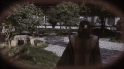 The Smiling Proud Wanderer #35
