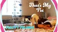 TPC That's My Pet