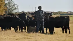 All-American Family Farms