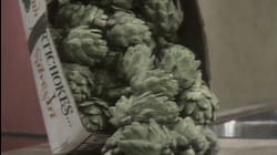 The Artichoke