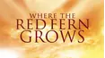 Where The Red Fern Grows
