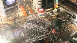 Tunis, Seattle, Kyoto, Geneva, Canberra, Brussels