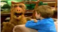 ALF