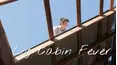 Log Cabin Fever
