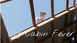 Log Cabin Love Bug