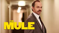 The Mule