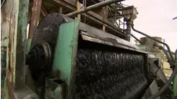 Bamboo Scaffolding and More