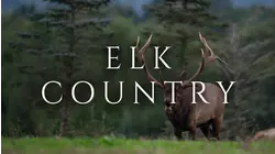Elk Country