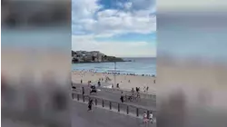 Una niña de 10 años, un sobreviviente del Holocausto y un expolicía murieron en la masacre de Sídney