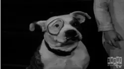 Little Rascals Shorts: When The Wind Blows