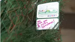 Christmas trees delivered to Ft Bragg for 'Trees for Troops'