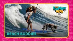 Countdown: The Funniest Pets | Beach Buddies