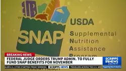 Federal judge orders Trump administration to fully fund SNAP benefits for November