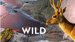Wild Uruguay