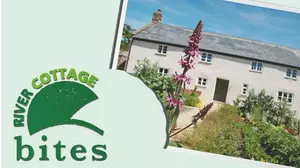 River Cottage Bites