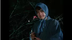 Woman with a flower-patterned hairpiece