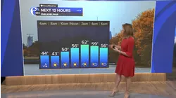 AccuWeather: Turns cloudy and wet this week in the Philadelphia region