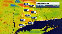 WIND ALERT: Damaging winds up to 60 mph could bring down trees, power lines tonight