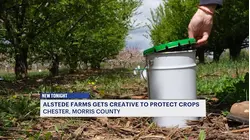 N.J. farms battle late-season freeze with creative measures to protect crops