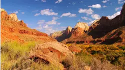 Zion - National Park (1919)