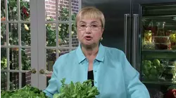 Italian Taste for Bitter Vegetables