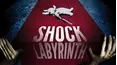 Shock Labyrinth
