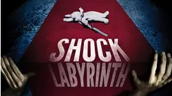 Shock Labyrinth