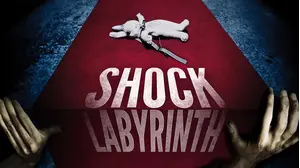 Shock Labyrinth