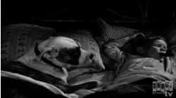 Little Rascals Shorts: Dog Is Dogs