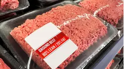 Trump lifting tariffs on imported beef, sparking backlash