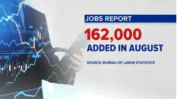 Jobs report breakdown