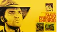 Charro!