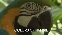 Colors of Nature
