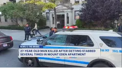 Mount Eden fatal stabbing victim identified