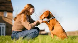 How AI Could Save Your Pet's Life