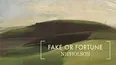 Fake Or Fortune: Nicholson