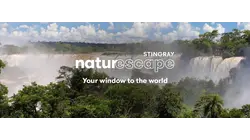 Iguazu Falls Relaxation