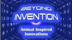 Animal Inspired Innovations