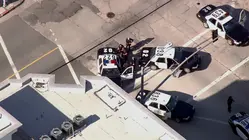World's Wildest Police Videos