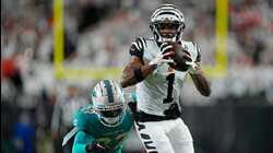 Bengals Take Care Of Dolphins At Home To Get To .500