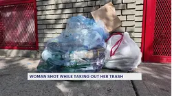 63-year-old woman shot in leg in Bedford Park